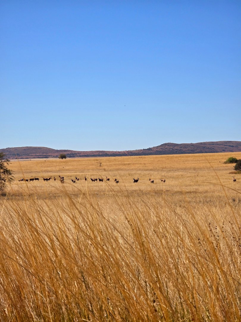 Commercial Property for Sale in Klerksdorp Rural North West